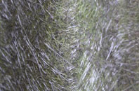 Hill Hook fibreglass roof work